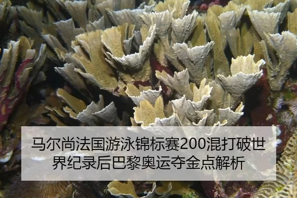 ma-er-shang-fa-guo-you-yong-jin-biao-sai-hun-da-po-shi-jie-ji-lu-hou-ba-li-ao-yun-duo-jin-dian-jie-xi-3-633.jpg