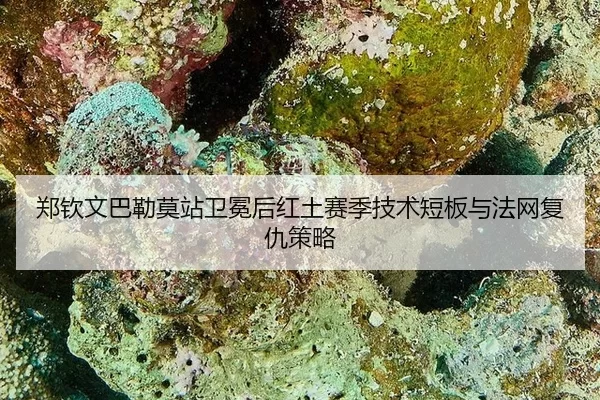 zheng-qin-wen-ba-lei-mo-zhan-wei-mian-hou-hong-tu-sai-ji-ji-shu-duan-ban-yu-fa-wang-fu-chou-ce-lve-2-108.jpg
